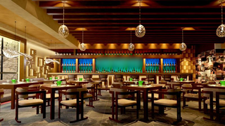 Business seeking funds to start an Asian fusion cuisine restaurant in DIFC, Dubai.