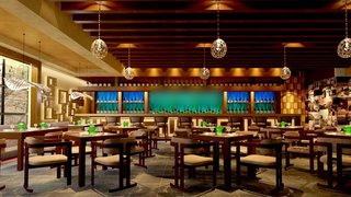 Business seeking funds to start an Asian fusion cuisine restaurant in DIFC, Dubai.