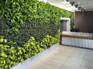 Soft furnishing trading business serving major B2B clients with an asset-light model.