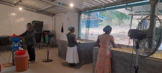 Sri Lanka-based cassava-products manufacturer, supplying major retailers, seeking investment to expand capacity and market reach.