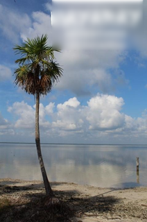 Well-established Cancún-based tour operator offering airport transfers and tours, seeking investment for expansion.