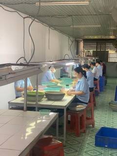 For Sale: Fully operational cashew kernel production unit based in Vietnam.