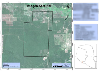 Seeking investor for a 12,375-hectare carbon sequestration project with owned land in Paraguay.