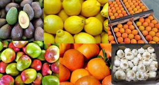 Manufacturer and exporter of fresh vegetables, fruits, and supermarket goods to USA, Germany, and CIS countries.