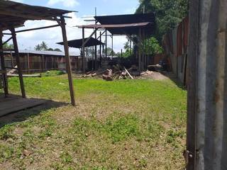 Indonesia-based agricultural export trader supplying areca nut and spices, seeks growth capital for expansion.