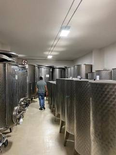 Olive oil producer and wholesaler seeks silent equity investment for working capital and expansion.