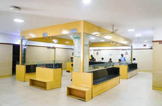 33-year multi-specialty hospital with strong pediatric legacy, 100 beds, growing revenues, expansion-ready infrastructure, seeks investment.