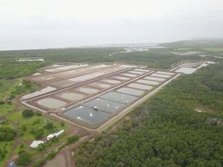 Aquaculture business with hyper-intensive shrimp farm producing 700K pounds of shrimp per year.