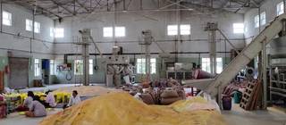 23-year-old Maharashtra-based seed production company seeks investment for clearing debt and expanding business.