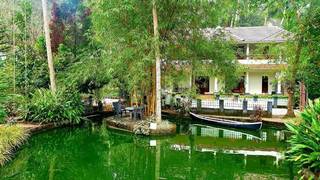 For Sale: Successfully running homestay/resort in Thiruvananthapuram with 7 rooms, high ratings and 35% occupancy.