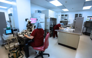 For sale: Independent infertility and IVF medical practice and laboratory with a 45+ years reputation.