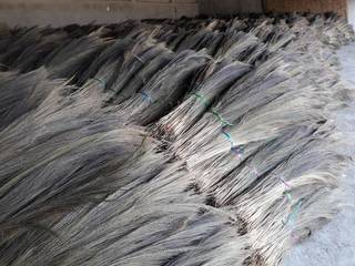 Wholesale supplier of brooms, procuring it from 100+ farmers and supplying to 60 retailers.