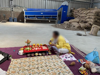 B2B cashew nut supplier with established wholesaler relationships and daily production capacity of 4 tonnes.