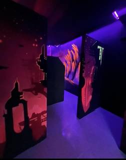For Sale: Popular laser tag business in Havana with game room and snack bar.