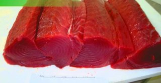 Tuna exporter & FMCG wholesale supplier to a few resorts and retailers.