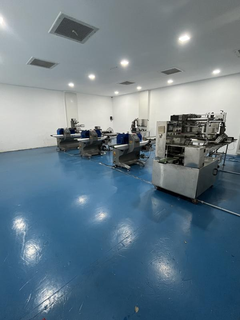 Syringe manufacturing business with owned facility seeking investor due to a director’s exit.