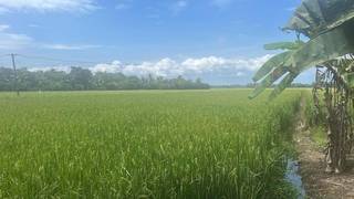 Exceptional, 3-acre (300 cents) riverfront land parcel is available for 100% outright cash acquisition.