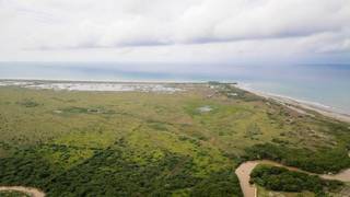 For sale: 20-hectare commercial beachfront land with 400m direct access, clean slate, prime development opportunity.
