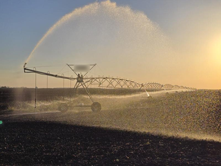 For sale: Integrated 1,600 ha Romanian agribusiness with irrigated farmland, grain storage and poultry facilities.