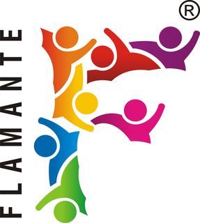 Flamante, Established in 2017, 14 Distributors, Mumbai Headquartered