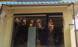 Newly established company owning a grocery retail shop serving approximately 50 customers per day.