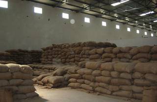For Sale: Malted barley processing unit with a capacity to produce 1,000 tonnes monthly.