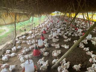 Agriculture business revitalizing barren land through expert-led farming seeks investment to operate at full capacity.
