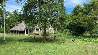 Purchase a 50 acres of farmland with road access and irrigation facilities.