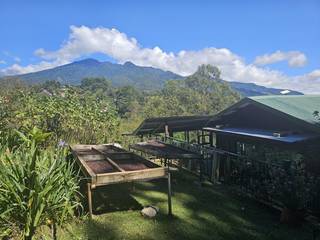 Award-winning secluded mountain retreat in Boquete with a certified organic coffee farm.