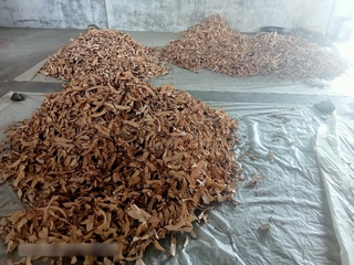 Snacks manufacturing business seeks funds for drying machines with 5 tons per day capacity.