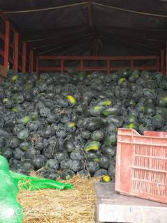 Large scale fruit wholesaler based in Pokhara, seeks loan to expand nationally.
