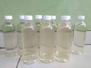 Exporter of coconut and honey products to 10+ countries, seeks loan for working capital.