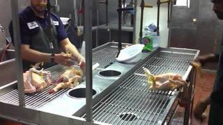 Chicken processing plant in Nashik is looking for a financial partner.