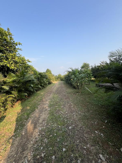 Partially developed resort with 2.5-acre leased agricultural land Neral-Kashele Road, ideal for hospitality ventures.