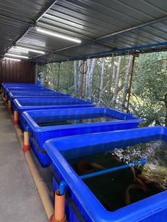 Company using sustainable technology in aquaculture industry to solve food security seeks investment for expansion.