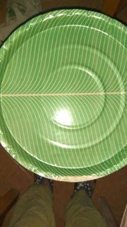 Manufacturer of paper plates producing 5,000 plates daily, having 8 retailer tie ups.