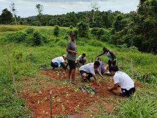 Vegetable farming and garden development business with 4+32 acre land seeks investment for expansion.