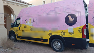 Pet grooming and taxi services seek investment for growth in Northern Emirates area.