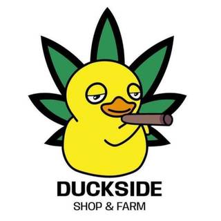 Duckside Store CO, LTD, 5 Franchisees, Est'd in 2022, Kamala HQ