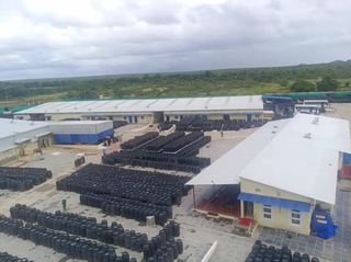 Successful vegetable processing company available for sale with strong global market presence.
