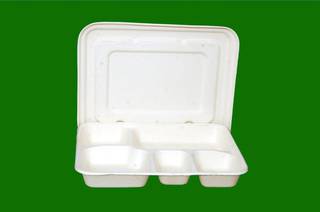Business seeking an investor to start an eco-friendly sugarcane bagasse tableware manufacturing business in Coimbatore.
