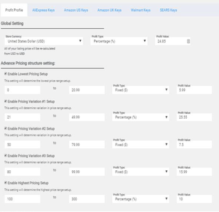 Company offers a proprietary drop-shipping tool that facilitates its users' e-commerce activities seeking investment.