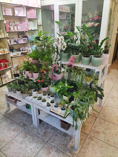 Flower shop in Prague with diverse products & services and strong sales network.