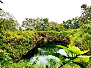 32-acre Cardamom plantation with development potential for a resort and existing agricultural income.