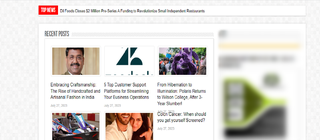 News website with 2,000 daily visits, offering 3,000 articles/monthly in multiple genres available for sale.