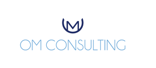 Tirana-based consulting firm providing B2B and B2G expertise with 20+ active industrial clients.