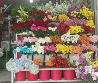 Florist with five daily orders seeks a loan to expand into a rental facility.