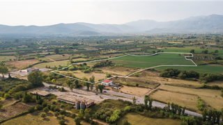For Sale: 25-acre agricultural land in Kalamata, Greece, suitable for medical cannabis cultivation.