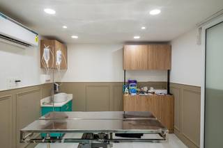24x7 super specialty veterinary hospital in Goa with 3,000+ pets served seeks investors.