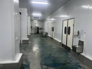Quality seafood processing company explores partial stake sale to enhance production and storage capabilities.